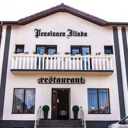 Pensiunea Iliada Hermannstadt Exterior foto